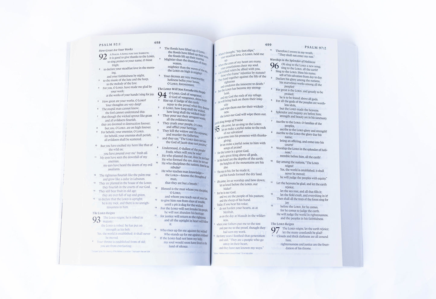 Military Bible Leadership (ESV) Flag