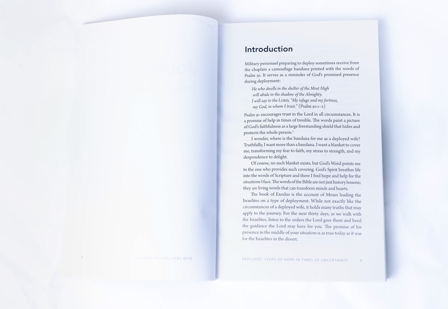 Journey of a Military Wife Vol 3 Deployed