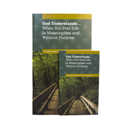 God Understands Meaningless (Large Print)